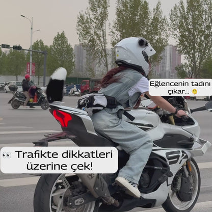 Haraketli Tilki kuyruğu